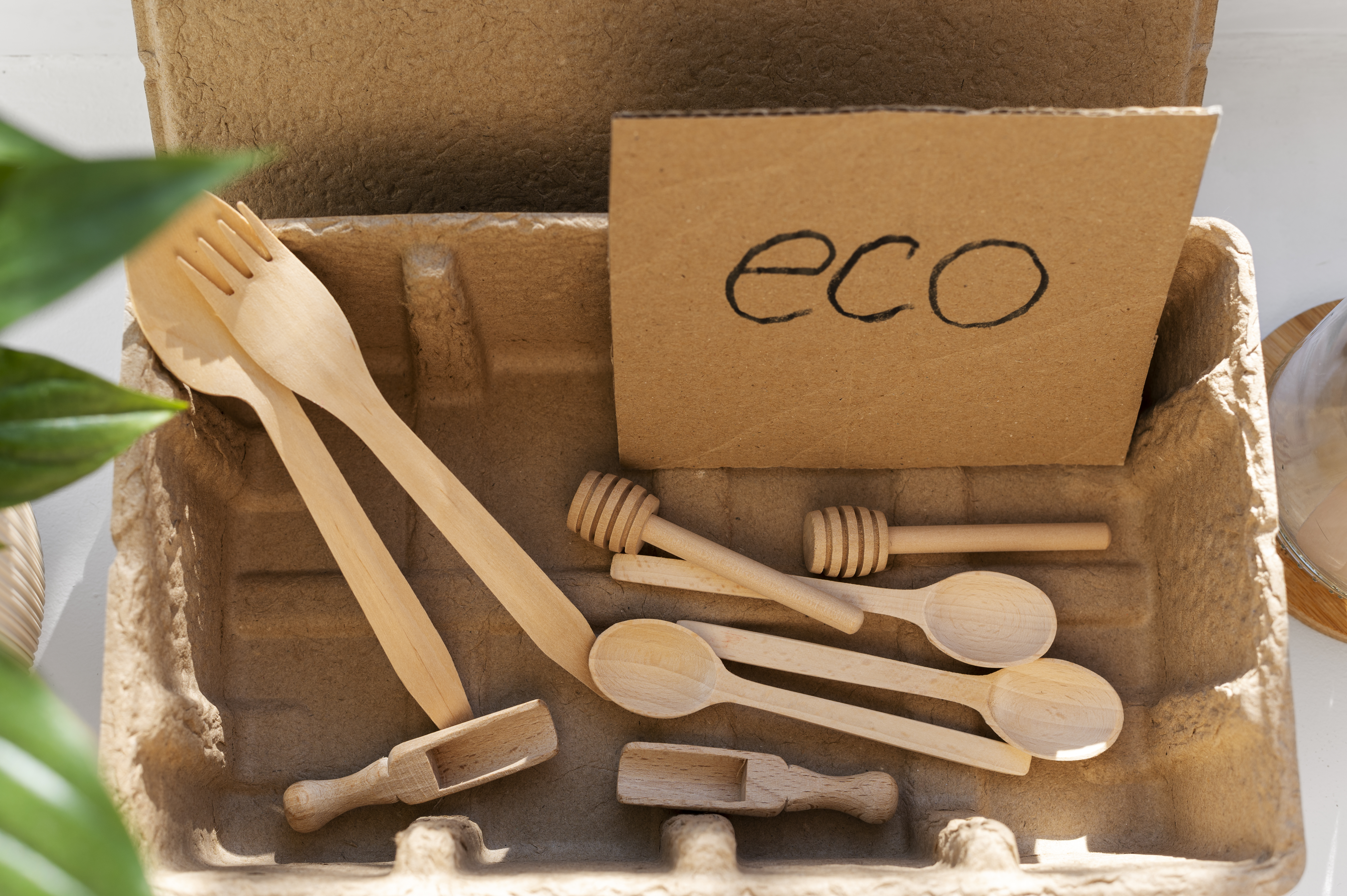 Restauração Ecológica